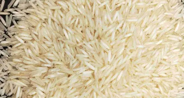 Indian basmati rice 1121
