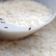 کرم برنج 2